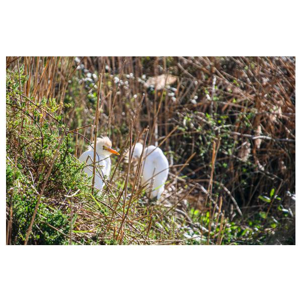 PHOTO84, CLUB, 84 , LUBERON